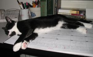 My office supervisor on the job.foro Blog 2013