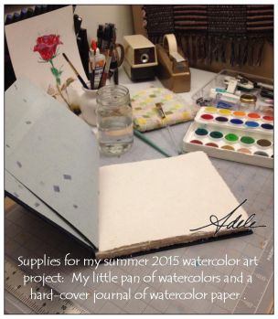 Summer 2015 Project materials