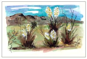 16-West Texas Yucca for FB