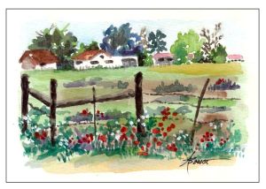 17-Corner Lot in Texas