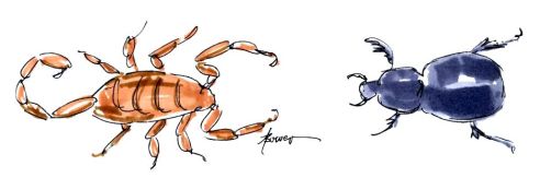 The Scorpion and the Beetle 12-16-15